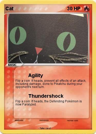 Pokemon Cat