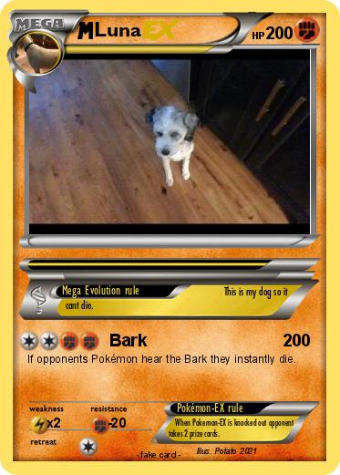 Pokemon Luna