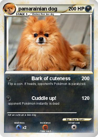 Pokemon pamarainian dog