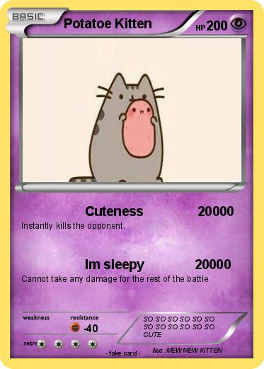 Pokemon Potatoe Kitten