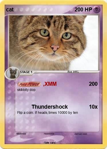 Pokemon cat