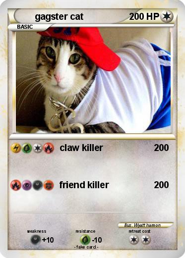 Pokemon gagster cat