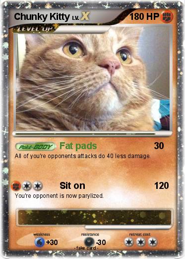 Pokemon Chunky Kitty
