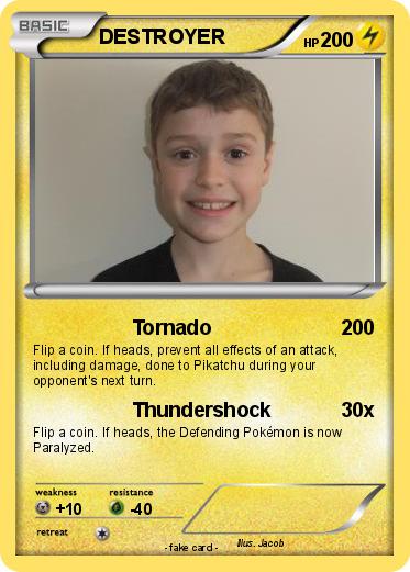 Pokemon DESTROYER