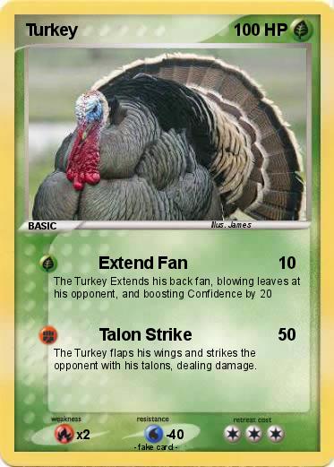 Pokemon Turkey