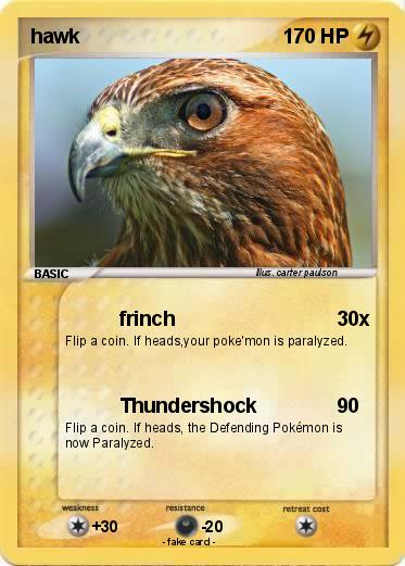 Pokemon hawk