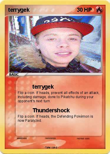 Pokemon terrygek