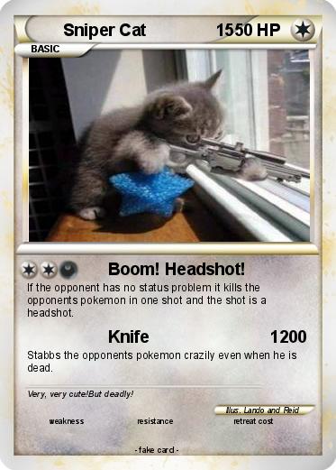 Pokemon Sniper Cat               15