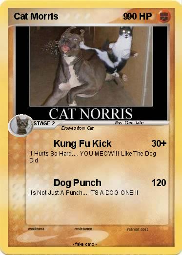 Pokemon Cat Morris                          9