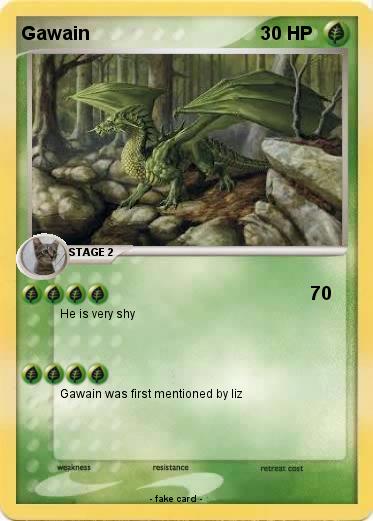 Pokemon Gawain