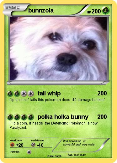Pokemon bunnzola