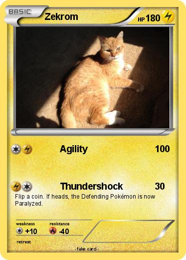 Pokemon Zekrom