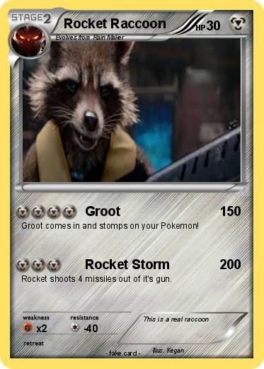 Pokemon Rocket Raccoon