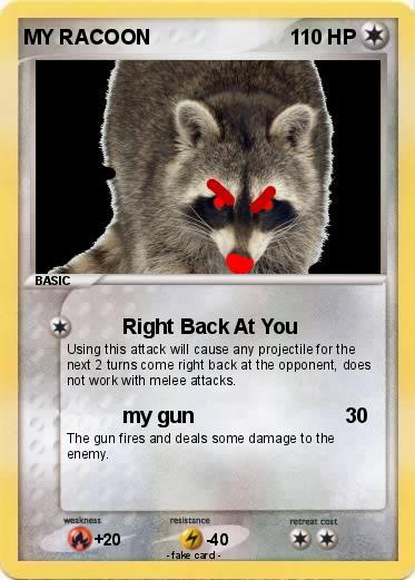 Pokemon MY RACOON