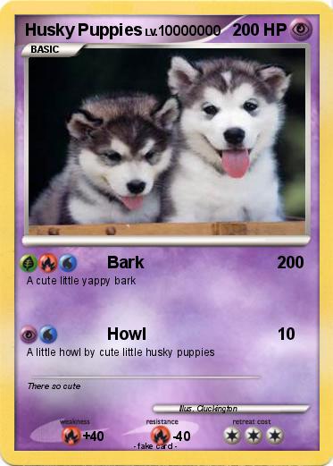 Pokemon Husky Puppies