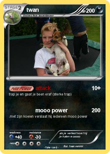 Pokemon twan