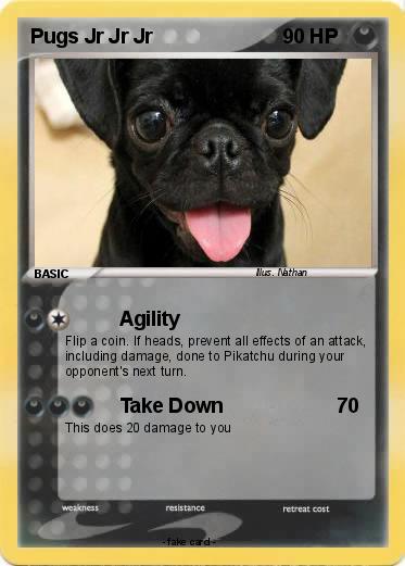 Pokemon Pugs Jr Jr Jr