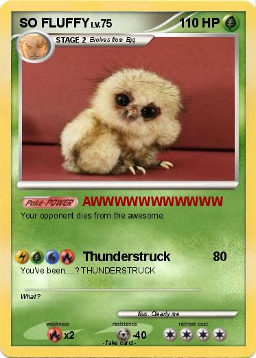 Pokemon SO FLUFFY