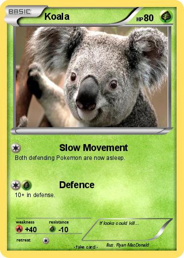 Pokemon Koala