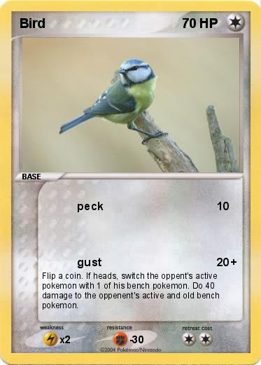 Pokemon Bird