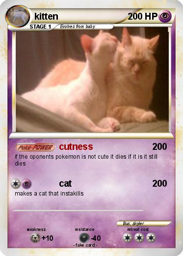 Pokemon kitten