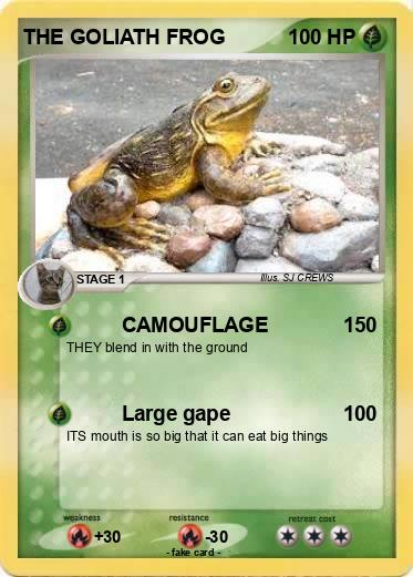 Pokemon THE GOLIATH FROG