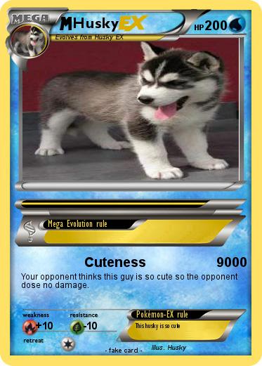 Pokemon Husky