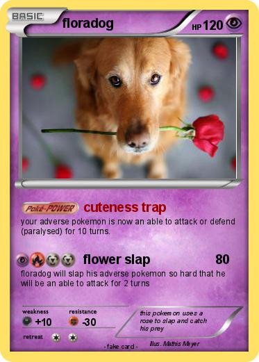 Pokemon floradog