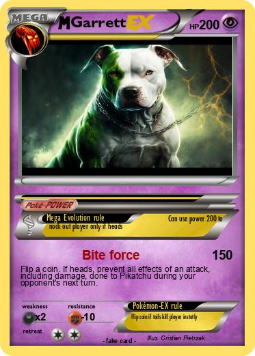 Pokemon Garrett
