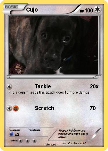 Pokemon Cujo