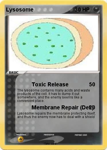 Pokemon Lysosome