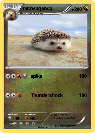 Pokemon mr.hedgehog