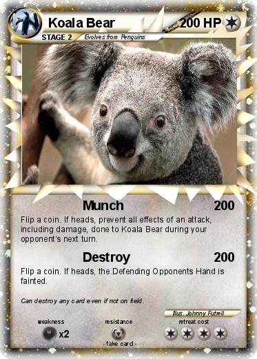 Pokemon Koala Bear