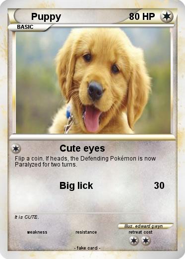 Pokemon Puppy