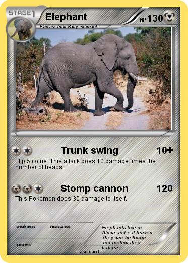 Pokemon Elephant