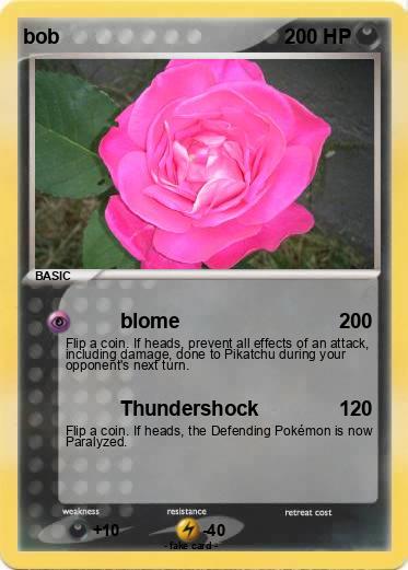 Pokemon bob