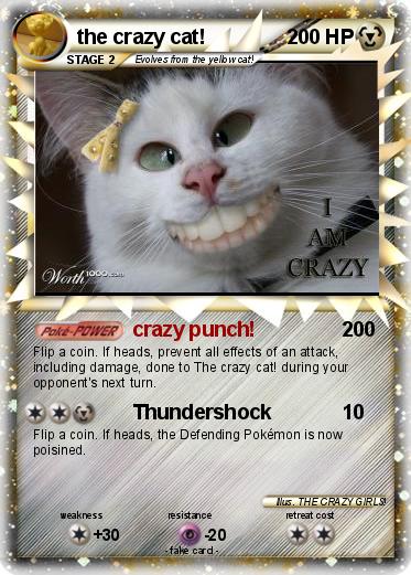 Pokemon the crazy cat!