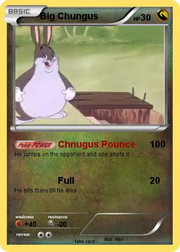 Pokemon Big Chungus