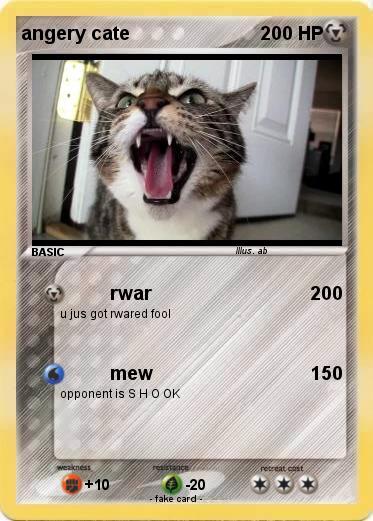 Pokemon angery cate