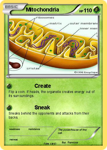 Pokemon Mitochondria