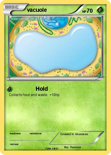 Pokemon vacuole