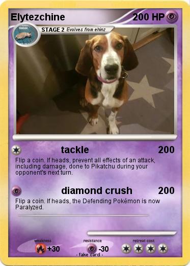 Pokemon Elytezchine