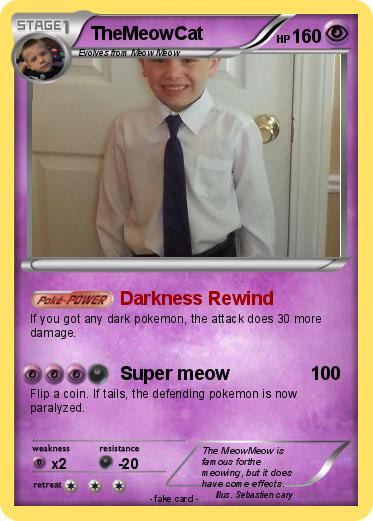 Pokemon TheMeowCat