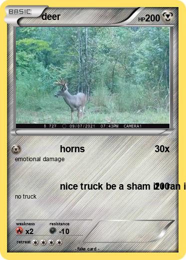 Pokemon deer