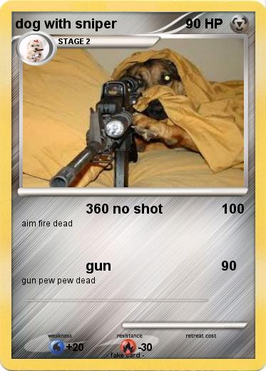 Pokemon dog with sniper