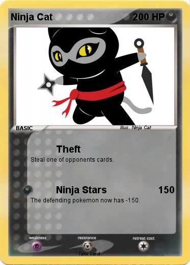Pokemon Ninja Cat
