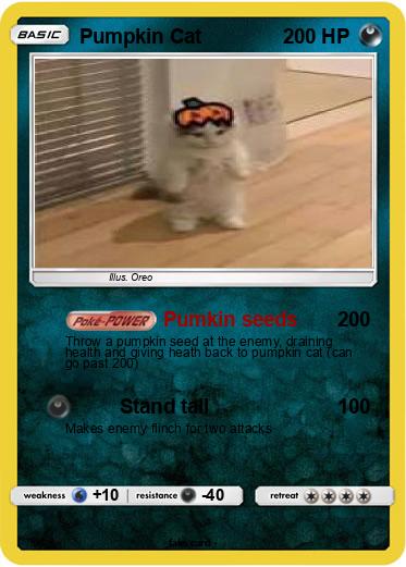 Pokemon Pumpkin Cat