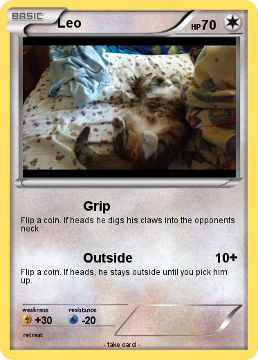 Pokemon Leo