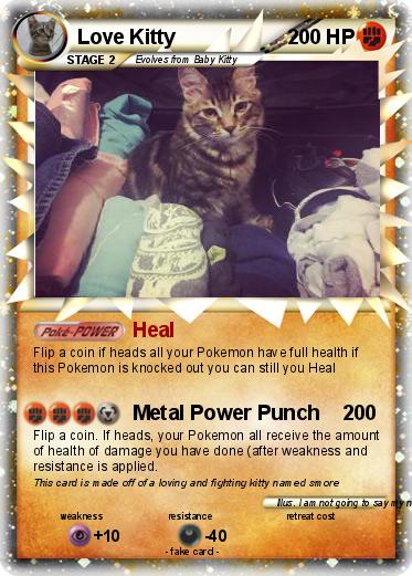 Pokemon Love Kitty