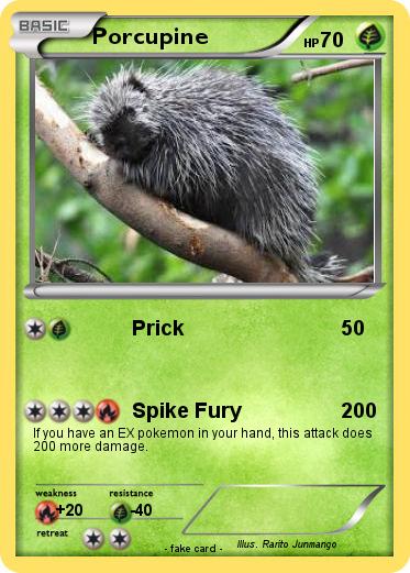 Pokemon Porcupine